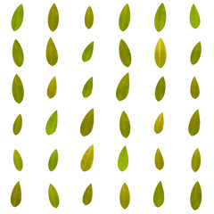 並んだ黄色の葉っぱのシームレス背景素材