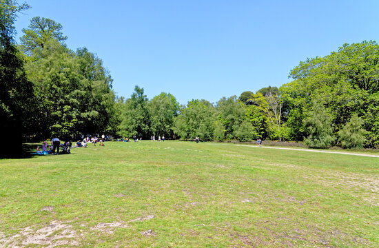 Virginia Water Park in Summer - Surrey England - UK