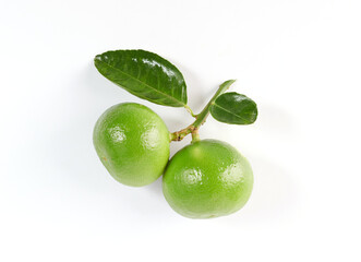 Lime. Fresh fruit with leaf isolated on white background. Its freshly picked from home growth organic garden. Food concept.