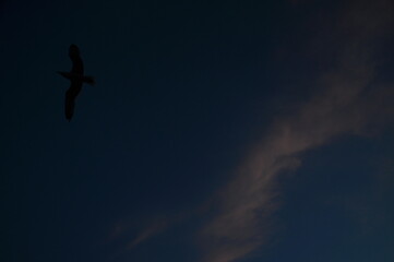 silhouette of a person in the clouds