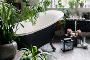 Black vintage freestanding bathtub with green plants