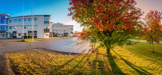 Scenic wide panorama of rising Sun behind autumn colored rowan tree, empty parking lot close to typical office building, early morning, clear sky, wet asphalt. Northern Sweden, Umea.