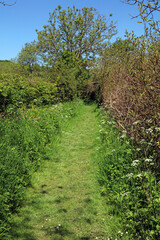 Fototapeta na wymiar English countryside path in late spring, Derbyshire England 