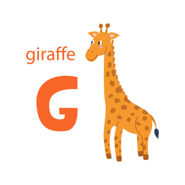 Cute giraffe card. Alphabet with animals. Colorful design for teaching children the alphabet, learning English. Vector illustration in a flat cartoon style on a white background