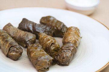 Dolma - stuffed grapes leaves, traditional mediterranean dish.