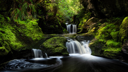 Payzant Creek  Vancouver Island, BC Canada