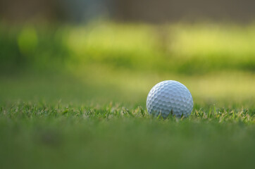 White golf ball on green in beautiful golf course.
