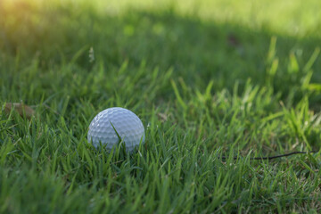 White golf ball on green in beautiful golf course.