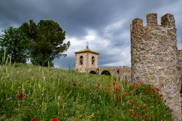 Castillo de Almoguera, Almoguera, Guadalajara, Castilla la Mancha, España