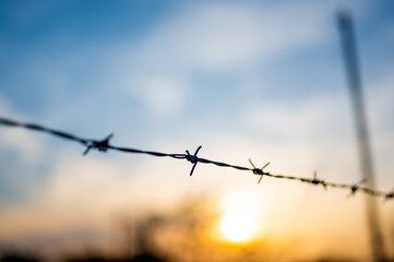 View on barbed wire