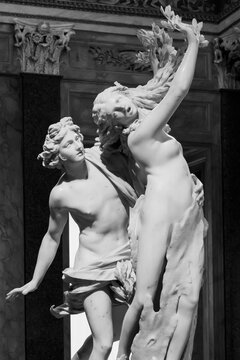 Black and white photo of one of Bernini´s masterpiece: Appolo and Daphne