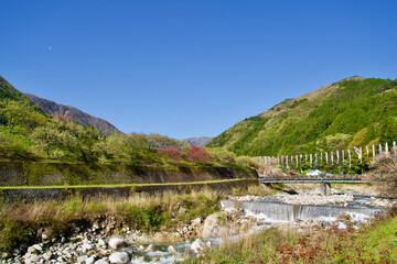 Fototapeta na wymiar The carp streamer and Japanese nature in Nagano.