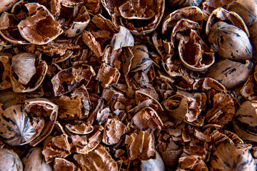 Pecan nut shells background. Top view.