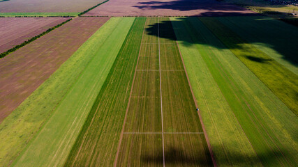 Obraz premium fields