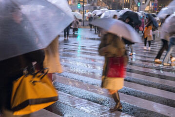 People crossing street on rainy night, Tokyo, Japan　雨の夜 交差点を行き交う人々...