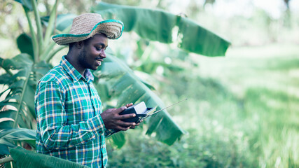 African farmer with hat holding retro radio receiver stand in the banana plantation...