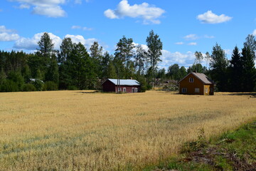 houses in the field