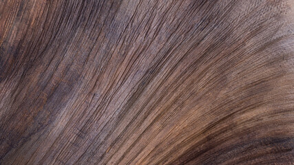 dried old banana leaf abstract texture, closeup view of brownish tone rough surface background, wallpaper or backdrop