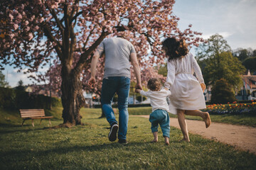 Naklejka na ściany i meble A young family walks in the park with blooming sakura, sunny day, happy family.