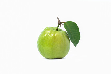 Fresh guava fruit isolated on white background. Organic green guava  (tropical fruit) harvesting from the garden, kind of high vitamin C fruit. Healthy food concept