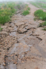 Erosion Wash Out from Rain on Two Track Road