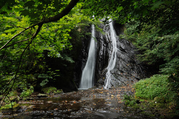 Fototapeta premium waterfall in the forest