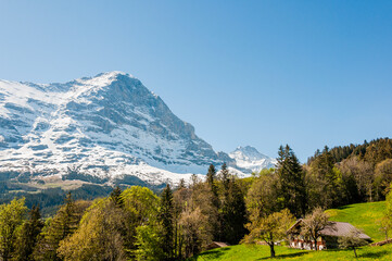 Grindelwald, Eiger, Eigernordwand, Mönch, Jungfrau, Alpen, Berner Oberland, Kleine Scheidegg, Wanderweg, Männlichen, Lauberhorn, Bergdorf, Frühling, Sommer, Schweiz