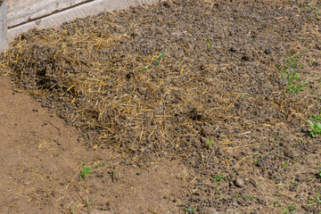 Round-shaped goat manure on farm on ground