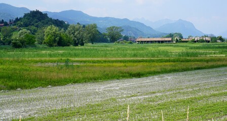 Green fields and farmhouse in the Adda River Park area