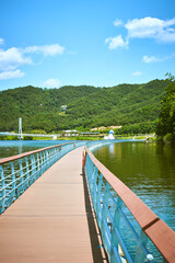path lying on the river