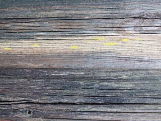 old grey wooden texture with blue inclusions and crack