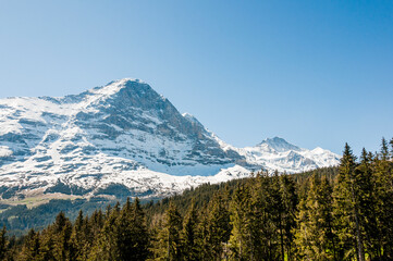 Obraz premium Grindelwald, Eiger, Eigernordwand, Mönch, Jungfrau, Alpen, Berner Oberland, Kleine Scheidegg, Wanderweg, Männlichen, Lauberhorn, Bergdorf, Frühling, Sommer, Schweiz