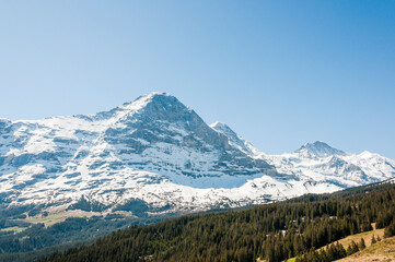 Grindelwald, Eiger, Eigernordwand, Mönch, Jungfrau, Alpen, Berner Oberland, Kleine Scheidegg, Wanderweg, Männlichen, Lauberhorn, Bergdorf, Frühling, Sommer, Schweiz