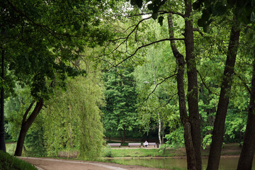 Fototapeta premium Scenery green nature view of moscow city park on cloudy day
