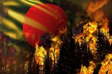 Big forest fire fight concept, natural disaster - burning fire in the trees on Bangladesh flag background - 3D illustration of nature