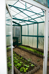 white open door to the greenhouse