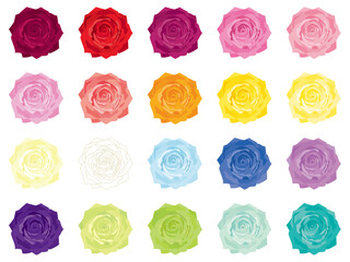 カラフルな薔薇の花　カラーバリエーション