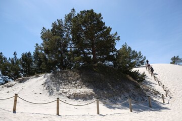 Silhouette of climbing people in "Lubiatowska Dune " nature trail on the Baltic Sea, Pomerania, Lubiatowo, Poland. Separation barriers with a string 