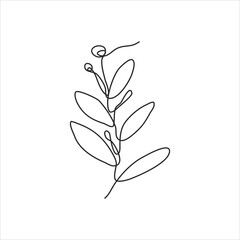 one line drawing of leaves and mini fruit. continuous line art