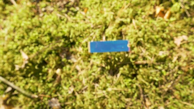 Spinning top down shot to HDD. Crypto currency. Ecological CHIA mining.