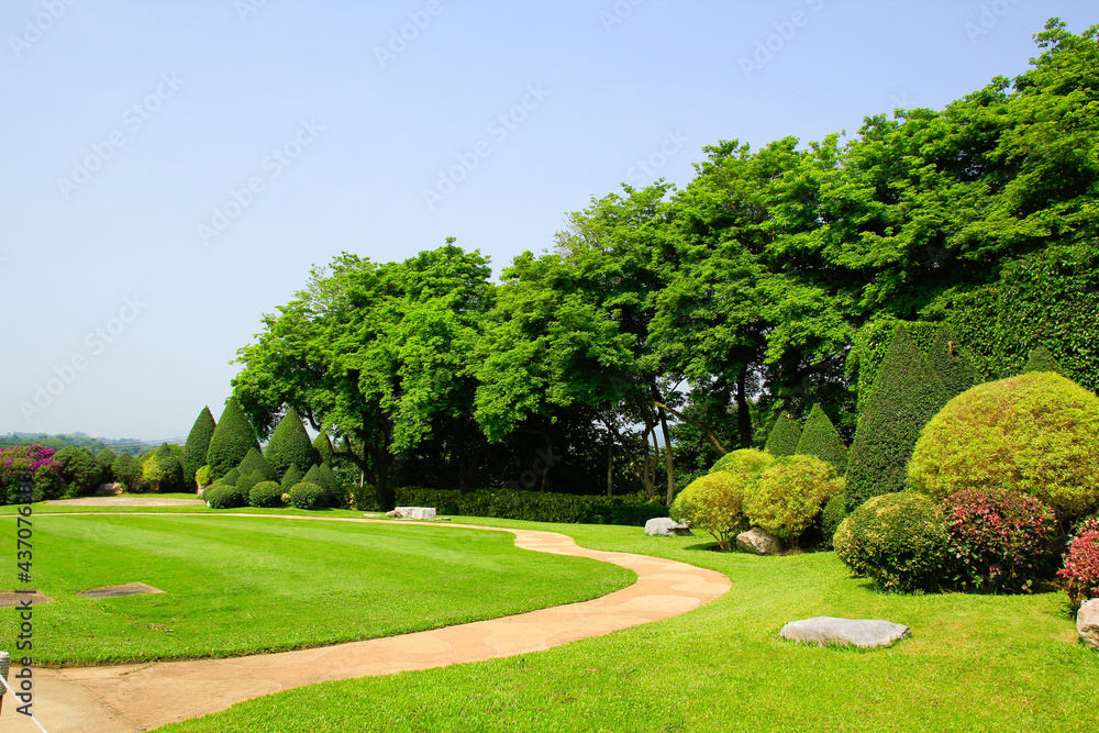 Canvas Prints trees in the park and grass field