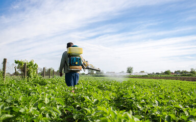 Farmer with a mist sprayer walks through farm field. Protection of cultivated plants from insects and fungal infections. Farming growing vegetables. Use of chemicals for crop protection in agriculture - obrazy, fototapety, plakaty