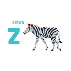 Fototapeta na wymiar Cute zebra card. Alphabet with animals. Colorful design for teaching children the alphabet, learning English. Vector illustration in a flat cartoon style on a white background