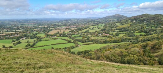 Obraz premium vineyard