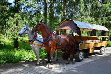 Horse-drawn carriages bring tourists up to lake Morskie oko. Poland. © Susanne Fritzsche