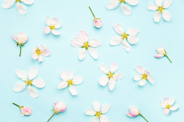 Naklejka na ściany i meble Apple tree blossom on a light blue background. Spring concept. Flat lay