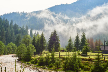 Landscape with mountain river, fog, forest and mountains