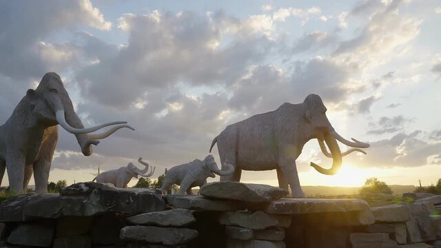 Huge sculptures of extinct mammoths outdoors. Side motion of beautiful giant ancient elephants with big tusks, scenic summer sunset on background. Concept of paleontology, architecture.