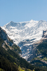 Grindelwald,  Alpen, Berner Oberland, Grindelwaldgletscher, Finsteraarhorn, Fiescherhörner, Schreckhorn, Mettenberg, Eiger, Eigernordwand, Wanderweg, Bergdorf, Frühling, Sommer, Schweiz