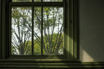 緑の窓
